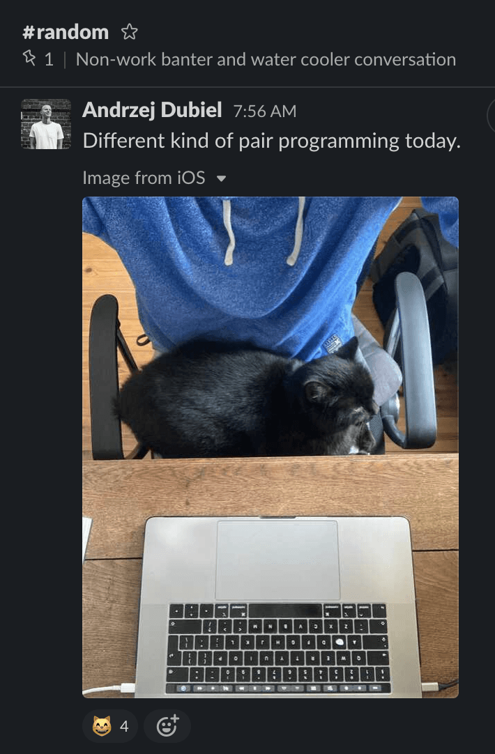 slack