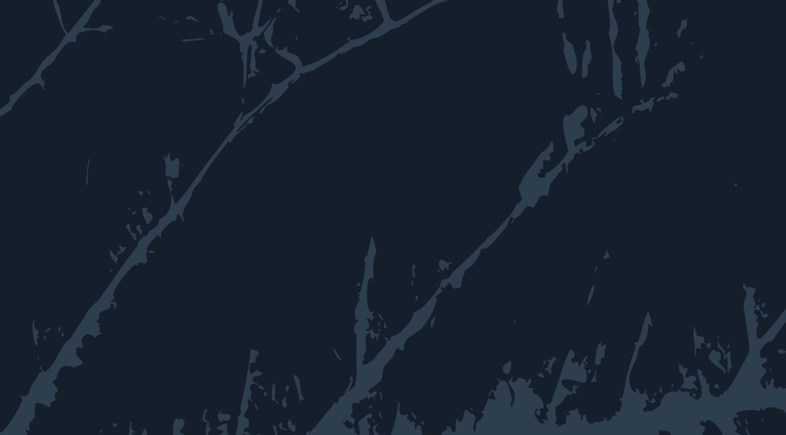 Fieldguide: 2021 Year in Review