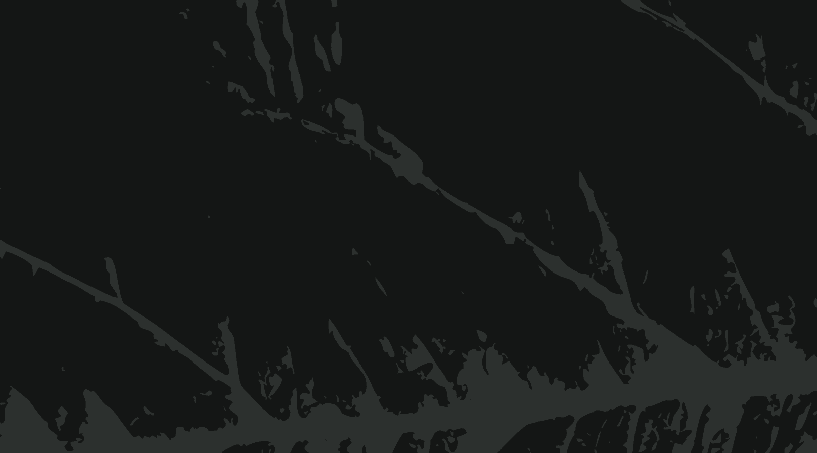 Increase Capacity and Audit Quality with Field Agents for Financial Audit