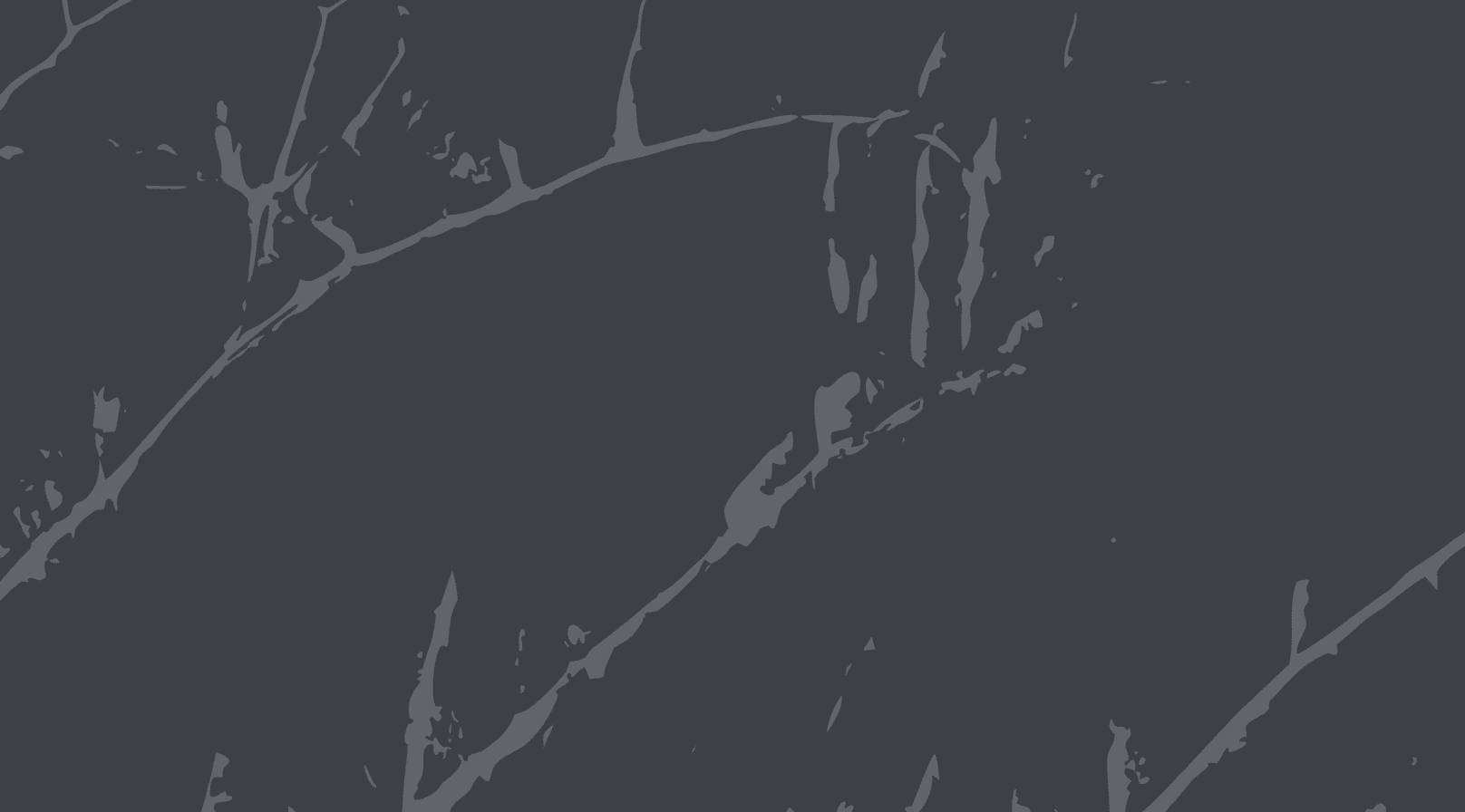 Introducing Fieldguide Accelerator