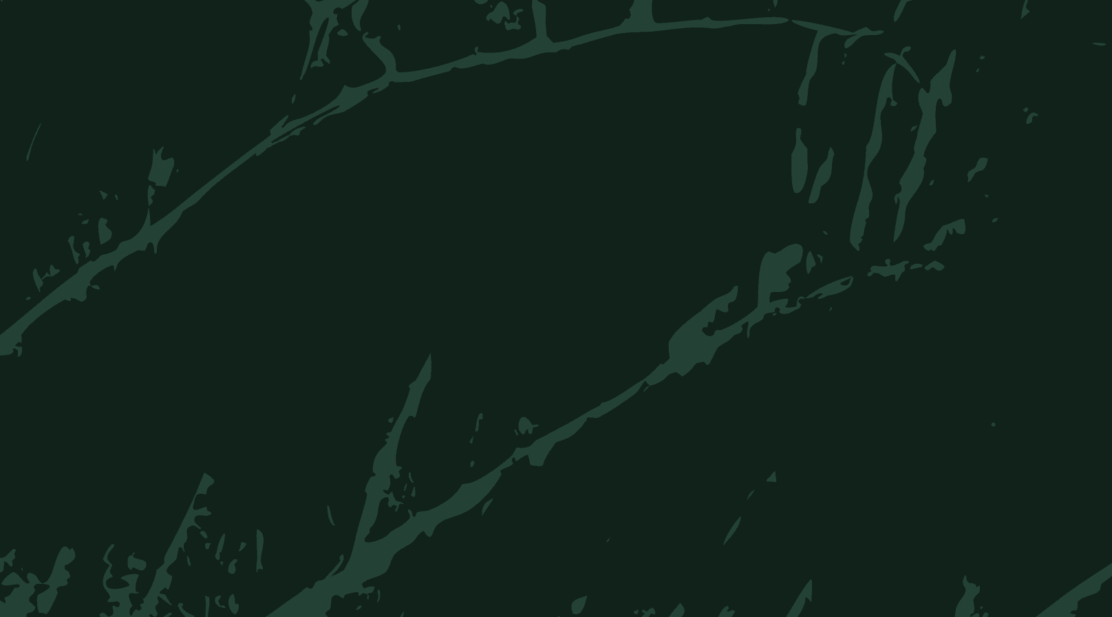 Fieldguide: 2022 Year In Review